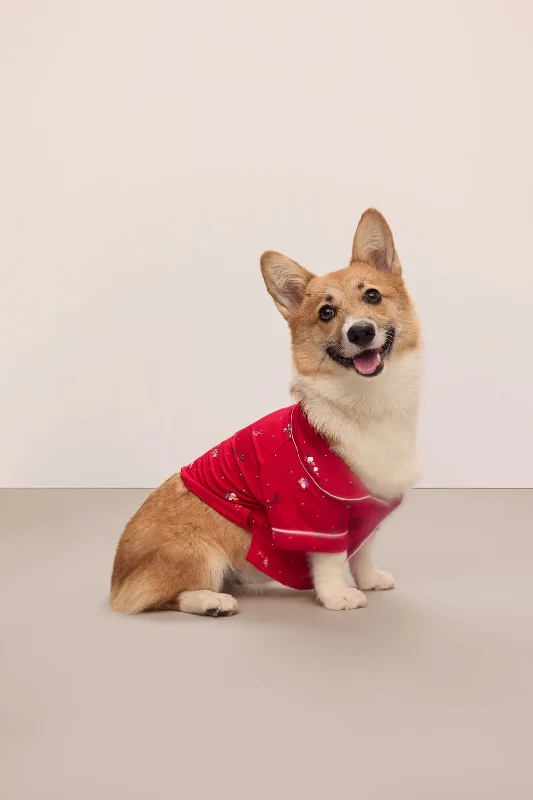 Eberjey x maxbone Pet PJs